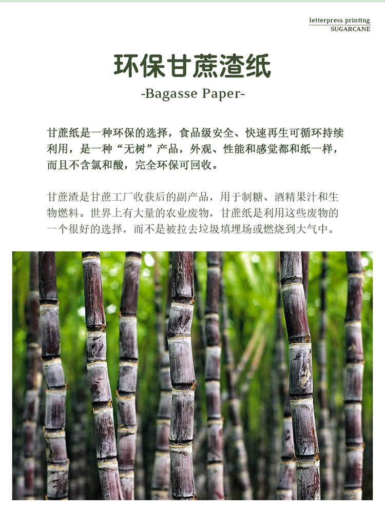 甘蔗渣纸材料详情-中文_02.jpg